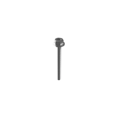 Picture of Esdec Mounting Screw M6 x 55mm - Standard Finish