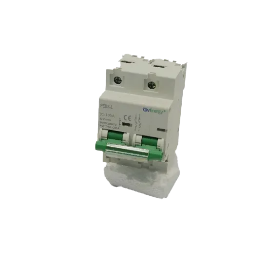Picture of GivEnergy 100 A DC Miniature Circuit Breaker Picture of GivEnergy 100 A DC Miniature Circuit Breaker